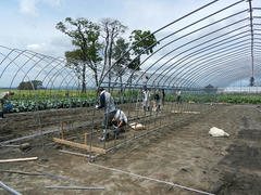 DSCN1255.JPG
