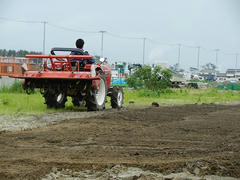 DSCN1266.JPG