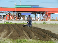 DSCN1282.JPG