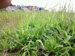 image_20120523172132.jpg
