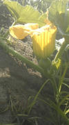 120626_060510.jpg