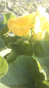 120626_060547.jpg