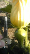 120626_060730.jpg