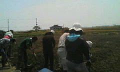 20120729111548.jpg