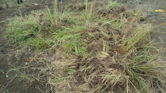 2012080814080000.jpg
