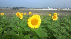 120809_065904_ed.jpg