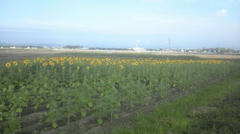 120809_071523_ed.jpg