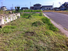 image1.jpeg