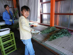 DSCN1291.JPG