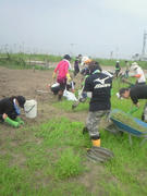 NEC_1710.jpg