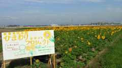2012081607330000.jpg