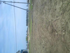 KIMG0172_convert_20120826225359.jpg