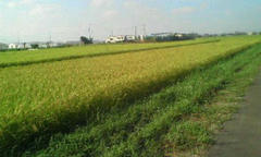 20120831153314.jpg