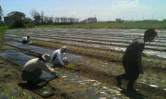 20120902111306.jpg