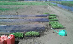 20120902111331.jpg