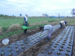 DSCN1604.JPG