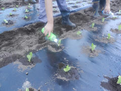 DSCN1607.JPG