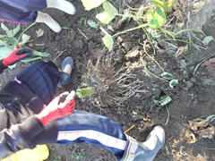 IMG_20121103_072151.jpg