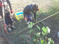 IMG_20121103_071410.jpg