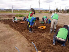 201211101.jpg