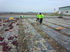 IMG_20121217_105524.jpg