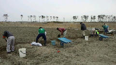 2013021912460000.jpg