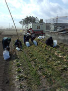 IMG_20130302_115342.jpg