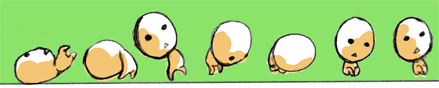 x071ppp.gif