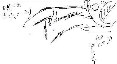 aaaaaaa.gif