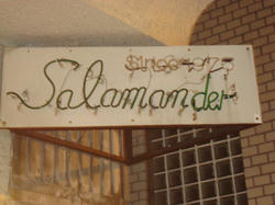 DSC00855.JPG