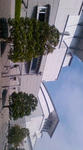 F1000705.jpg