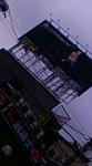 F1001348.jpg