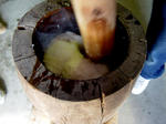 DSC01503.jpg
