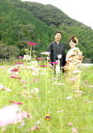 kosumosu.jpg