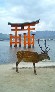 偶然のベストショット！