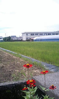 学校が見えます