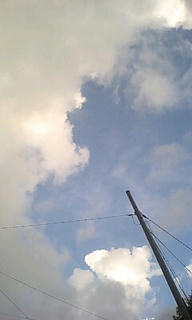 雨も降ったり止んだり。