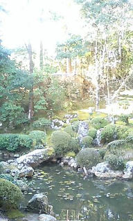 縁側から見た景色