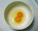 egg.JPG