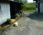 P1000031.jpg