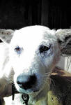 20100202125606.jpg