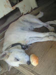 201008110904000.jpg