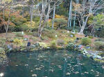 P1000151.JPG