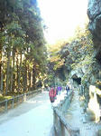 P1000150.JPG