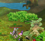 giruhan-tamasii2.jpg