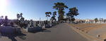 DSC02722.jpg