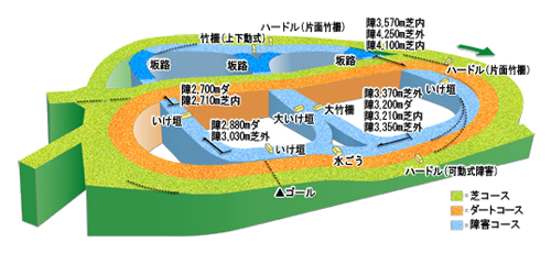 nakayama-shougai.png