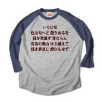 irohauta5 43814_heathergray_navys