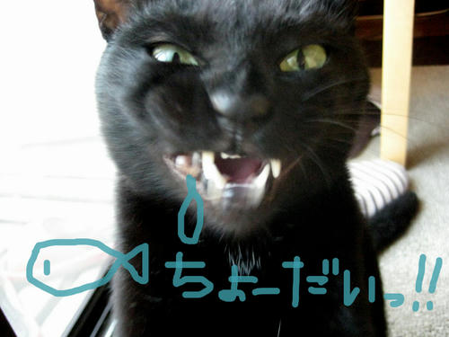 くいしんぼう