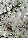 06040702.jpg